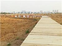 衡阳市珠晖区花花世界景区木栈道安装